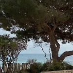 Сasa de vacaciones Maison 4p Bord De Avec Jardin Zonza