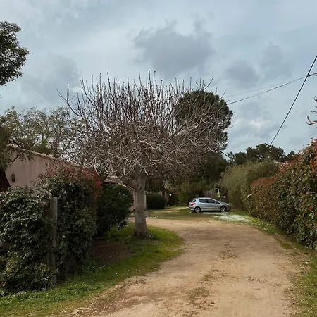 Holiday home Maison 5 Personnes Bord De Avec Jardin Amenage Zonza