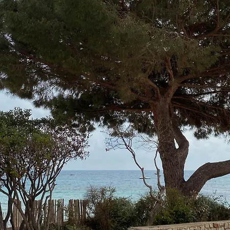 בית נופש Maison 5 Personnes Bord De Avec Jardin Amenage זונזה