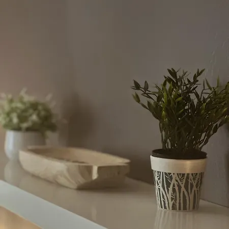 בית נופש Maison 5 Personnes Bord De Avec Jardin Amenage זונזה