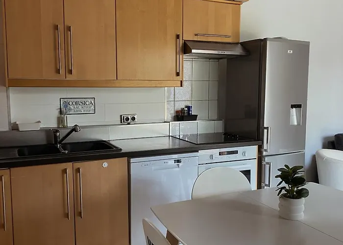 Semesterbostad Maison 4p Bord De Avec Jardin Zonza